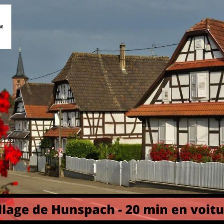 Duplex - Le Cosy - Hyper Centre Leilighet Haguenau Eksteriør bilde