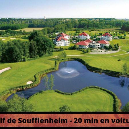 Duplex - Le Cosy - Hyper Centre Leilighet Haguenau Eksteriør bilde