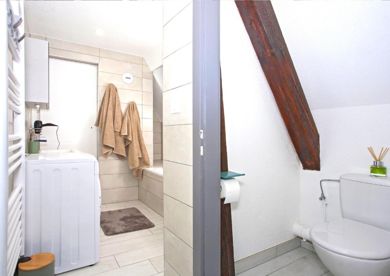 Duplex - Le Cosy - Hyper Centre Leilighet Haguenau Eksteriør bilde