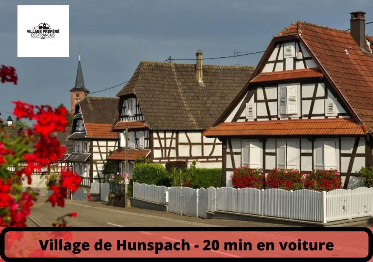 Duplex - Le Cosy - Hyper Centre Leilighet Haguenau Eksteriør bilde