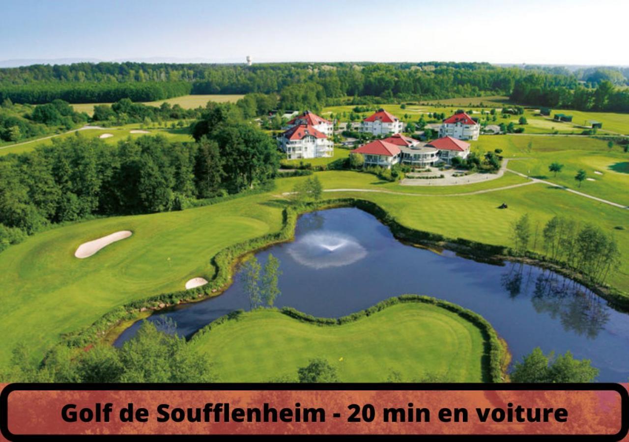 Duplex - Le Cosy - Hyper Centre Leilighet Haguenau Eksteriør bilde