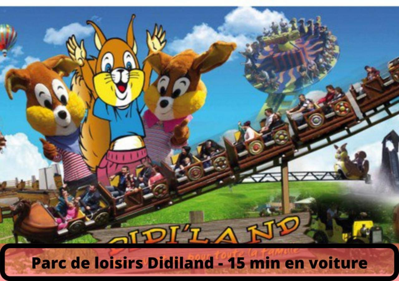 Duplex - Le Cosy - Hyper Centre Leilighet Haguenau Eksteriør bilde